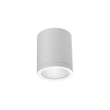Downlight natynkowy CONYON AZ6028 3000|4000|6000 1x15W/LED 900lm IP54 od Azzardo