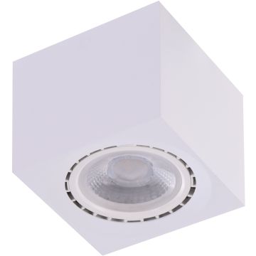 Downlight natynkowy ECO AZ4318 1x16W/ES111 IP20 od AZzardo