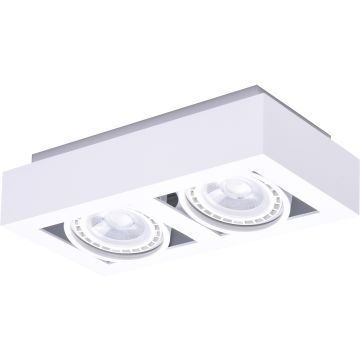 Downlight natynkowy NIKEA AZ4440 2x16W/ES111 IP20 od AZzardo