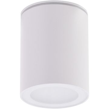 Downlight natynkowy PAPIKO AZ4217 1x50W/GU10 IP65 od AZzardo