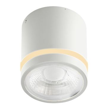 Downlight natynkowy VICI AZ6040 3000|4000|6000 1x12W/LED 720lm IP44 od Azzardo