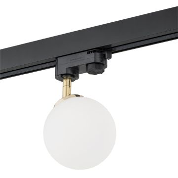 Reflektor szynowy BANG 4307 1x6W/G9 od Argon