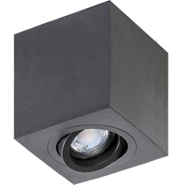Downlight natynkowy BRANT AZ2825 1x50W/GU10 od AZzardo