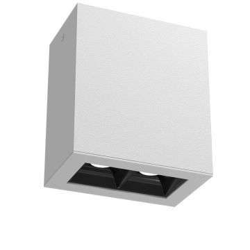 Downlight natynkowy A-Glare 1036 4000K 2x4W/LED 320lm IP20 od Antigo