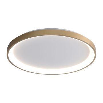 Plafon Raden CLN-3151-M-GD 3000K|4000K|6000K 1x50W/LED 2900lm IP20 od Italux