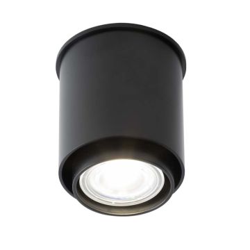 Downlight natynkowy Iga 1115 1x10W/GU10 IP20 od Shilo