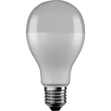 Żarówka EKZOS237 3000K 1x19W/E27 2451lm od Eko Light