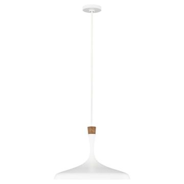 Lampa wisząca Darwin FE-DARWIN-P 1x60W/E27 od Feiss