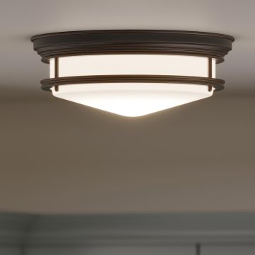 Plafon HK/HADLEY/F OZ HADLEY od HINKLEY Lighting