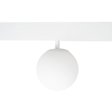 Reflektor szynowy MAX M0044Z 2700-5000k 1x5.4w/led 334lm ip20 od Maxlight