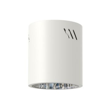 Downlight natynkowy GEORGE ML0479 1x60W/E27 IP20 od Milagro