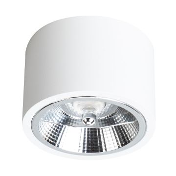 Downlight natynkowy REDONDO ML1075 1x15W/GU10 Ar111 IP20 od Milagro