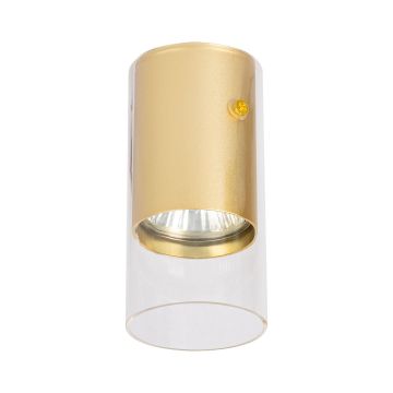 Downlight natynkowy RICKY ML0688 1x8W/GU10 IP20 od Milagro