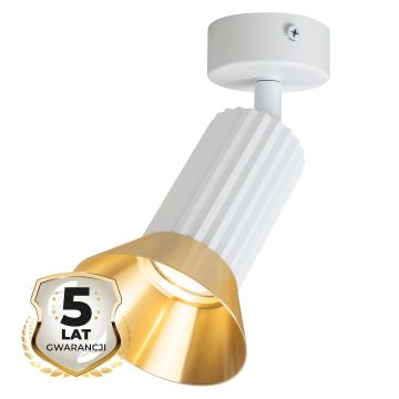 Spot TULIP ML1204 1x10W/GU10 IP20 od Milagro