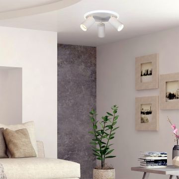 Spot Parma LP-0612/3C Round WH 3000K|4000K|6000K 3x50W/GU10 IP20 od Light Prestige