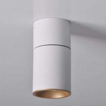 Downlight natynkowy ASTRA 314024 10W LED IP20 od Polux