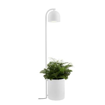 Lampa podłogowa BOTANICA XL 40848101 1x9W/GU10 IP20 od Kaspa