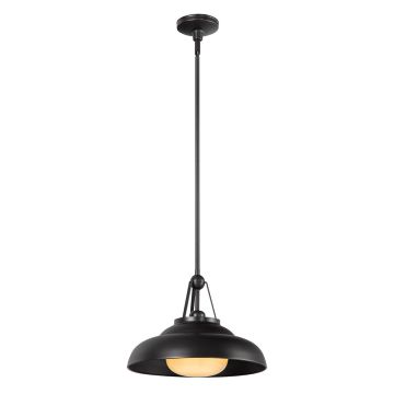 Lampa wisząca Palmetto QN-PALMETTO-P-M-UBZ 1x60W/E27 IP20 od Quintiesse