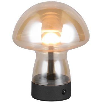 Lampa stołowa DOOLEY R54981113 3000k 1x1.5w/led 140lm ip20 od Trio