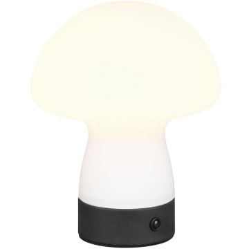 Lampa stołowa DOOLEY R54981131 3000k 1x1.5w/led 140lm ip20 od Trio