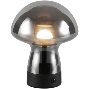 Lampa stołowa DOOLEY R54981154 3000k 1x1.5w/led 140lm ip20 od Trio