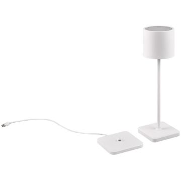 Lampa stołowa FERNANDEZ R54096131 2700+4000+6000K 1x1w/led 130lm ip54 od Trio