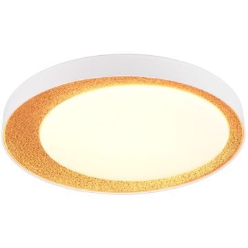 Lampa sufitowa ALETA R64611179 2700-6500k 1x24w/led 2500lm ip20 od Trio