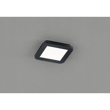 Lampa sufitowa CAMILLUS R62931032 3000k 1x10w/led 850lm ip44 od Trio