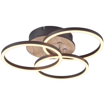 Lampa sufitowa CIRCLE R62823135 2700-6000K 1x27w/led 3200lm ip20 od Trio