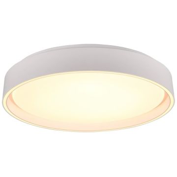 Lampa sufitowa FELIS R64391031 2700-6500K 1x24w/led 2500lm ip20 od Trio