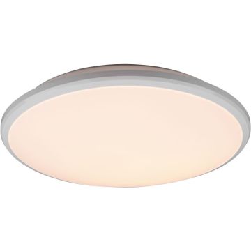 Lampa sufitowa LIMBUS R67021131 4000k 1x20w/led 2400lm ip20 od Trio