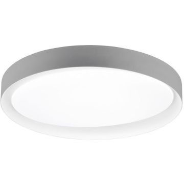 Lampa sufitowa ZETA R62712411 2700-6500k 1x24w/led 2500lm ip20 od Trio