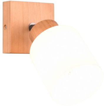 Kinkiet ASSAM R81111030 1x25w/e14 ip20 od Trio