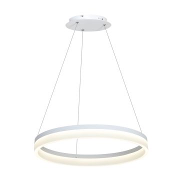 Zwis 66 RING od Milagro