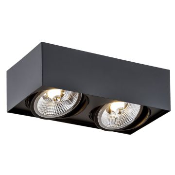 Downlight natynkowy RODOS PLUS 1049 BZ 2x15W/GU10/AR111 IP20 od Argon