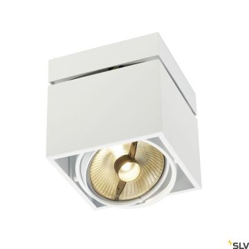 Downlight natynkowy KARDAMOD 117101 1x75W/GU10/ES111 IP20 od SLV
