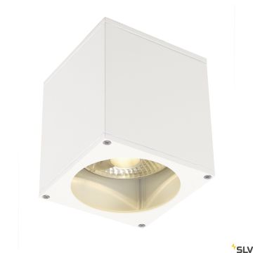 Plafon BIG THEO 229551 1x75W/GU10/ES111 IP44 od SLV
