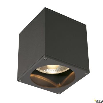 Plafon BIG THEO 229555 1x75W/GU10/ES111 IP44 od SLV