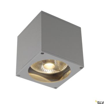 Kinkiet BIG THEO WALL 229564 1x75W/GU10/ES111 IP44 od SLV