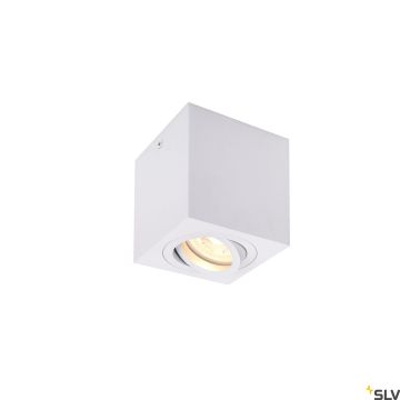 Downlight natynkowy TRILEDO Single 1002015 1x10W/GU10 IP20 od SLV
