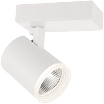 Spot Helvia SPL-31991-1B-WH 4000K 5W/LED 500lm IP20 od Italux