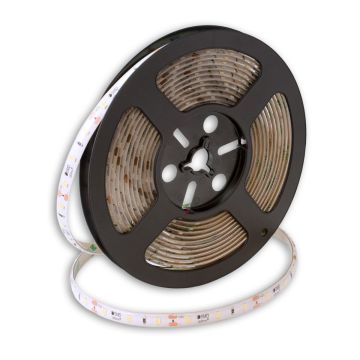 Taśma LED PROline TAS4199SLL 4000K 60x6W/m/LED 720 lm/m IP20 od SMD LED