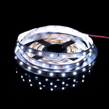 Taśma LED PROline TAS4205SLL 6000K 60x6W/m/LED 620 lm/m IP20 od SMD LED