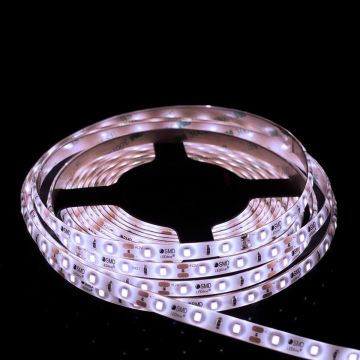 Taśma LED PROline TAS4250SLL 6000K 60x6W/m/LED 620 lm/m IP66 od SMD LED