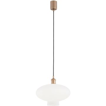 Lampa wisząca TRESCO 8980 1x15W/E27 ip20 od Argon