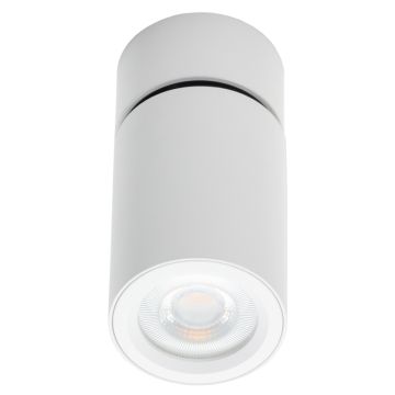 Lumifall XALO LMF.XALOW downlight natynkowy 1xGU10  