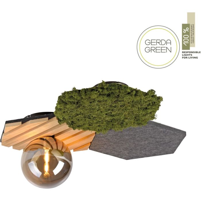 GREEN HEX-15199-70-Paul Neuhaus-251006