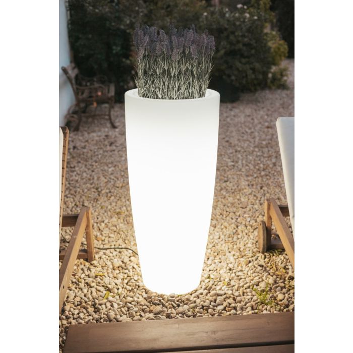 BAMBU-3285-New Garden-251572