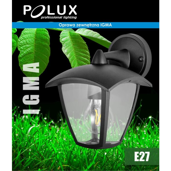 IGMA-311870-Polux-171020