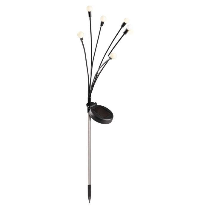FIORINI-328168-Polux-233302